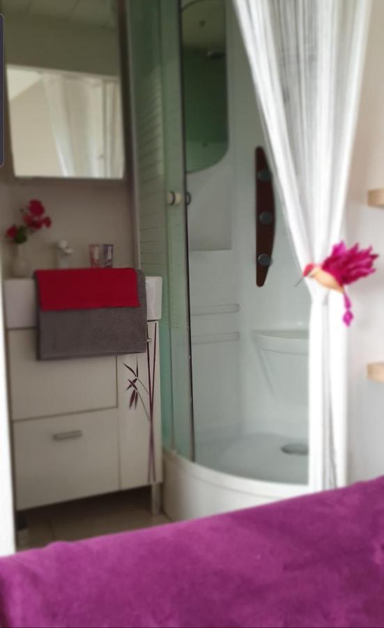 T3 50M2 Duplex Centre Ville Honfleur Esterno foto